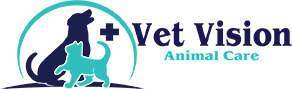 VetVision Logo