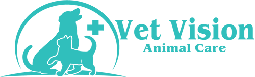 Green Logo Vet Vision