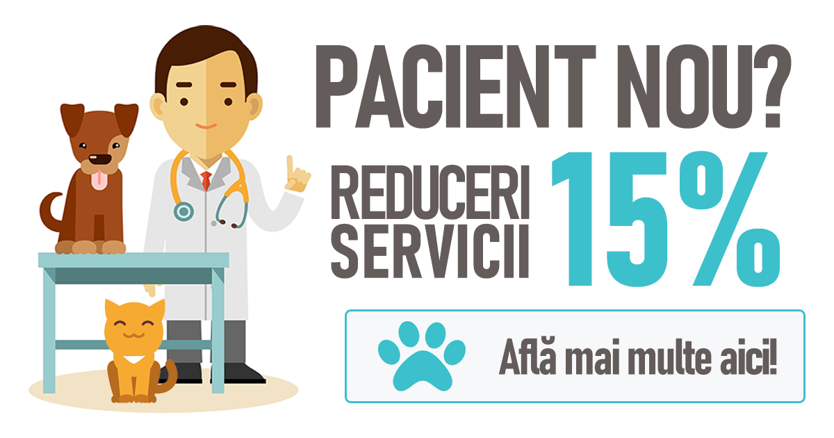 Vet Vision - Ofertă Clienți Noi